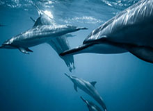 欧冠决赛投注-开云体育娱乐app安全:打造无忧体验的护城河